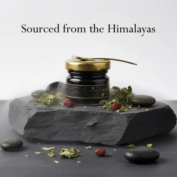 Shilajit Gold Resin (20g)