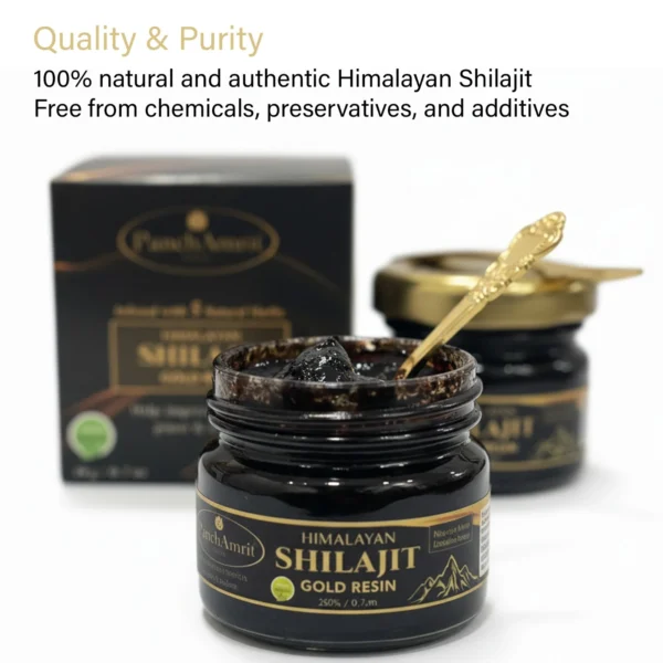 Shilajit Gold Resin (20g)